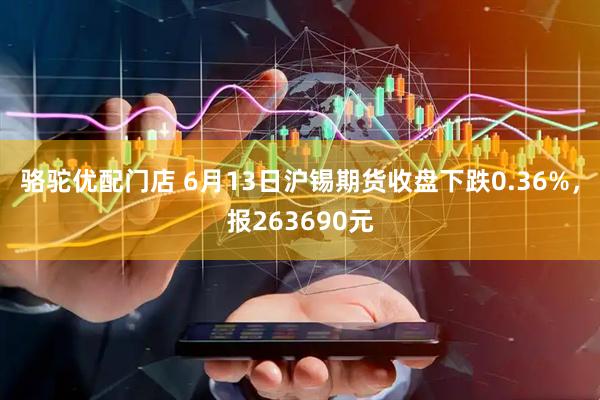 骆驼优配门店 6月13日沪锡期货收盘下跌0.36%，报263690元